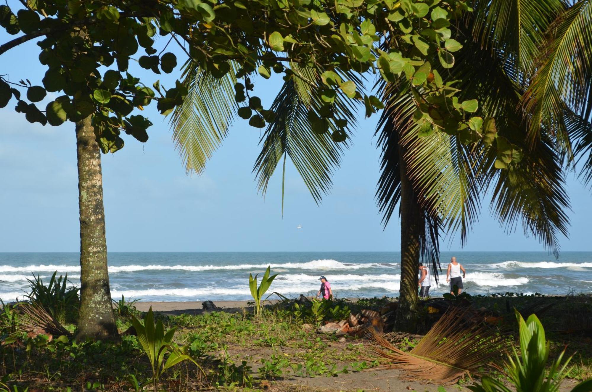 Hotel Pura Natura Beachfront Тортугеро Экстерьер фото